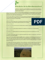 Pérdida de La Biodiversidad