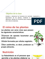 Semana 2 Las Plantas