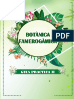 Guia Practica Ii-Botanica