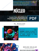 Núcleo - Biologia Molecular y Celular