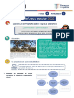 Fichas Adaptadas de Refuerzo n4 n5 - 2do 2022