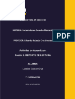 La Sociedad Anónima y Su Importancia