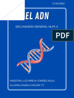 El - Adn