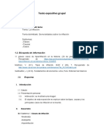 Oratoria - Planificación Del Texto Expositivo Grupal