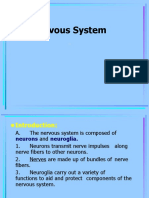1nervous System