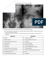 Gerardo Paz Taller de Abdomen