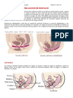 Unidad 4. Relajacion de Musculos Pelvicos