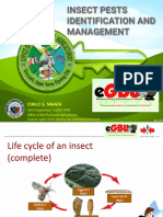 Cgmaata Insect Pest