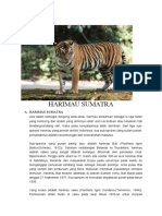 A. Harimau Sumatra