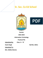 St. Paul Sr. Sec. Co-Ed School IT Practical File