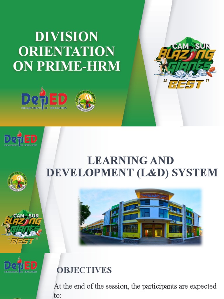 L&D System Overview for SDO Camarines Sur | PDF | Evaluation | Employment
