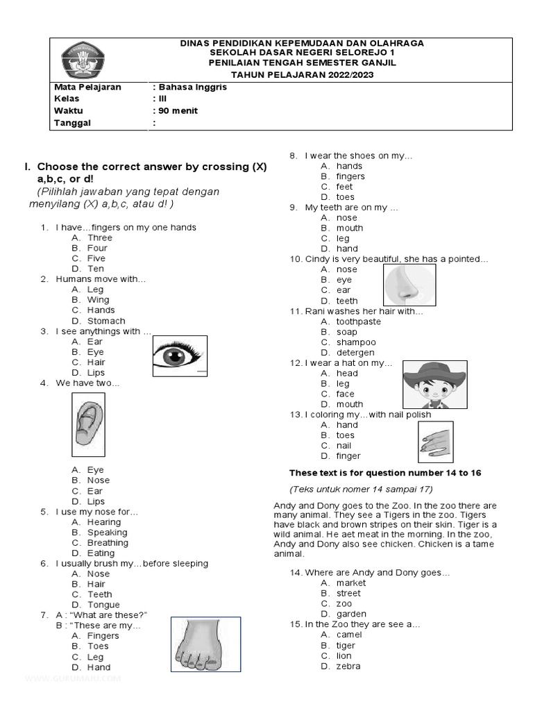 Soal PTS Kelas 3 Bahasa Inggris | PDF | Zebra | Organisms