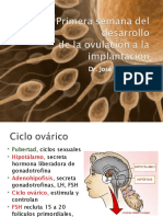 03 Primera Semana de Desarrollo