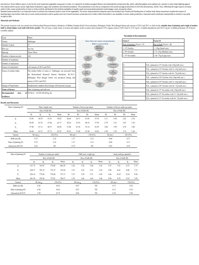 Onion Seed Production PDF Onion Plants