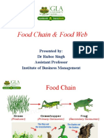 Food Chain, Food Web and Ecological Pyramids
