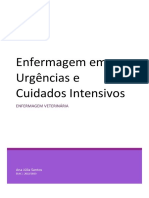 Enfermagem em Urgências e Cuidados Intensivos