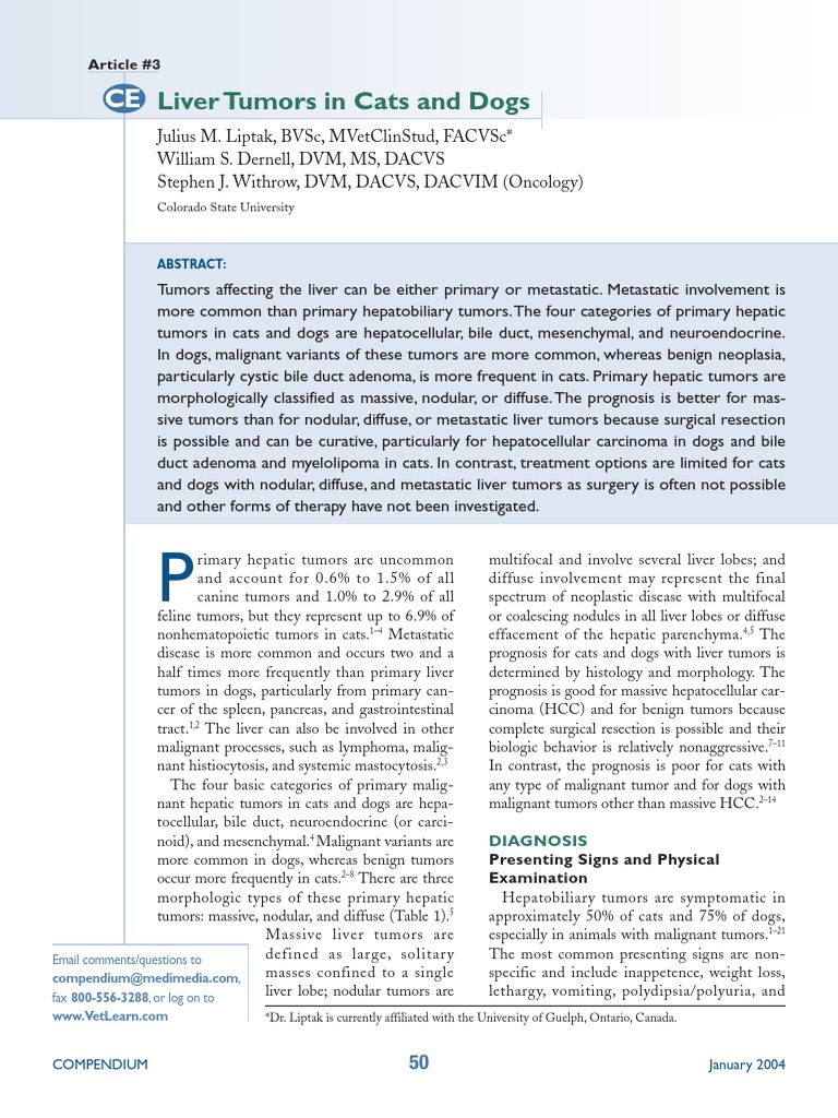 Picture Idea: Liver Tumors In Cats And Dogs Explained Pdf Liver