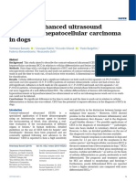 Veterinary Record - 2020 - Banzato - Contrast Enhanced Ultrasound Features of Hepatocellular Carcinoma in Dogs