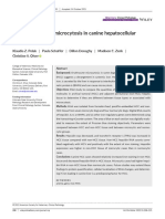 Veterinary Clinical Pathol - 2022 - Polak - Iron Hepcidin and Microcytosis in Canine Hepatocellular Carcinoma