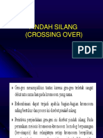 Pindah Silang