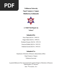 ESewa Report