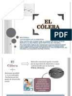 Cólera: enfermedad infecciosa aguda