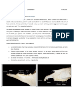 Clase 3 Odontología Equina