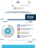 2.1.prezentare Planuri de Actiune - Consultant S. Caian