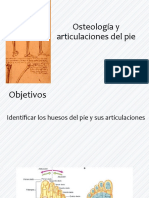 CLASE 2 Osteologia y Articulaciones Del Pie