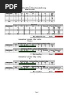 SOX Finance Audit Report