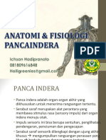 Anfis Panca Indera