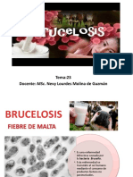 TEMA N°23 Brucella