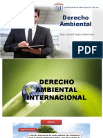 05 Derecho Ambiental Internacional