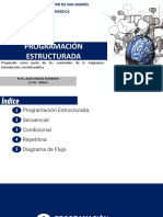 Programación Estructurada: Preparado Como Parte de Los Contenidos de La Asignatura Introducción A La Informática