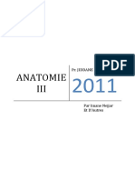Anatomie 2011