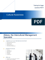 Cultural Awareness 291018 Handouts PDF