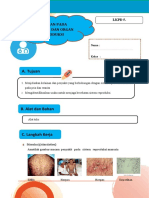 LKPD 5. Kelainan Pada Alat Reproduksi