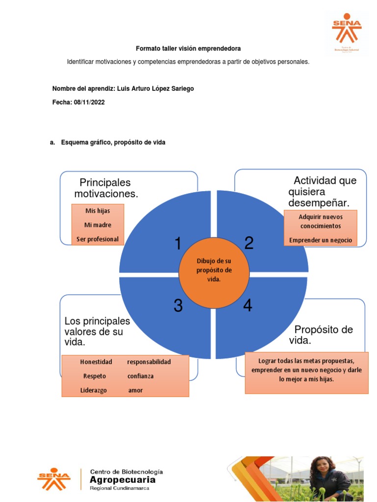 Anexo Formato Vision Emprendedora | PDF | Iniciativa empresarial
