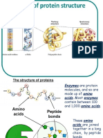 3a Enzymes Structure and Function