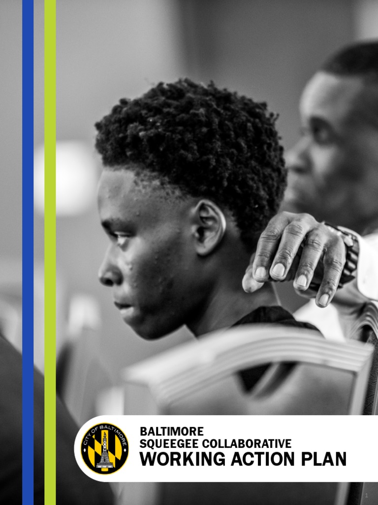 Squeegee Collaborative Working Action Plan PDF Entrepreneurship