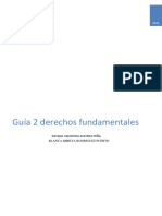 Guia 2 Derechos Fundamentales