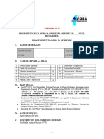 Anexo 16 B - Modelo de Informe Tecnico de Baja-Ugelh