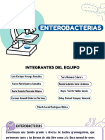 Enterobacterias Salmonella Equipo#1