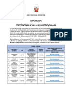 Convocatoria #001-2021-Ratificación/jnj