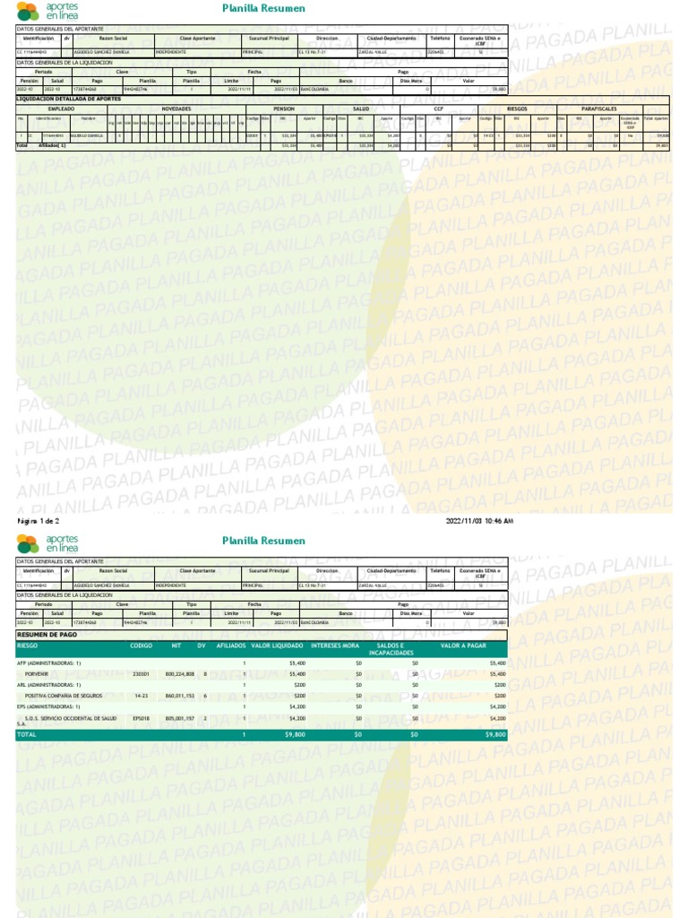 Modelo Planilla de Seguridad Social | PDF