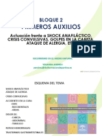 4 - Primeros Auxilios - Shock Anafiláctico, Convulsiones, Accidentes en La Cabeza, Etc.