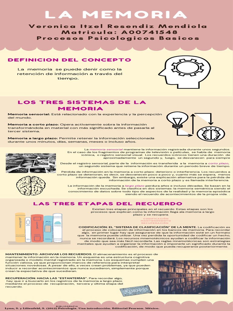La Memoria Pdf Memoria Información