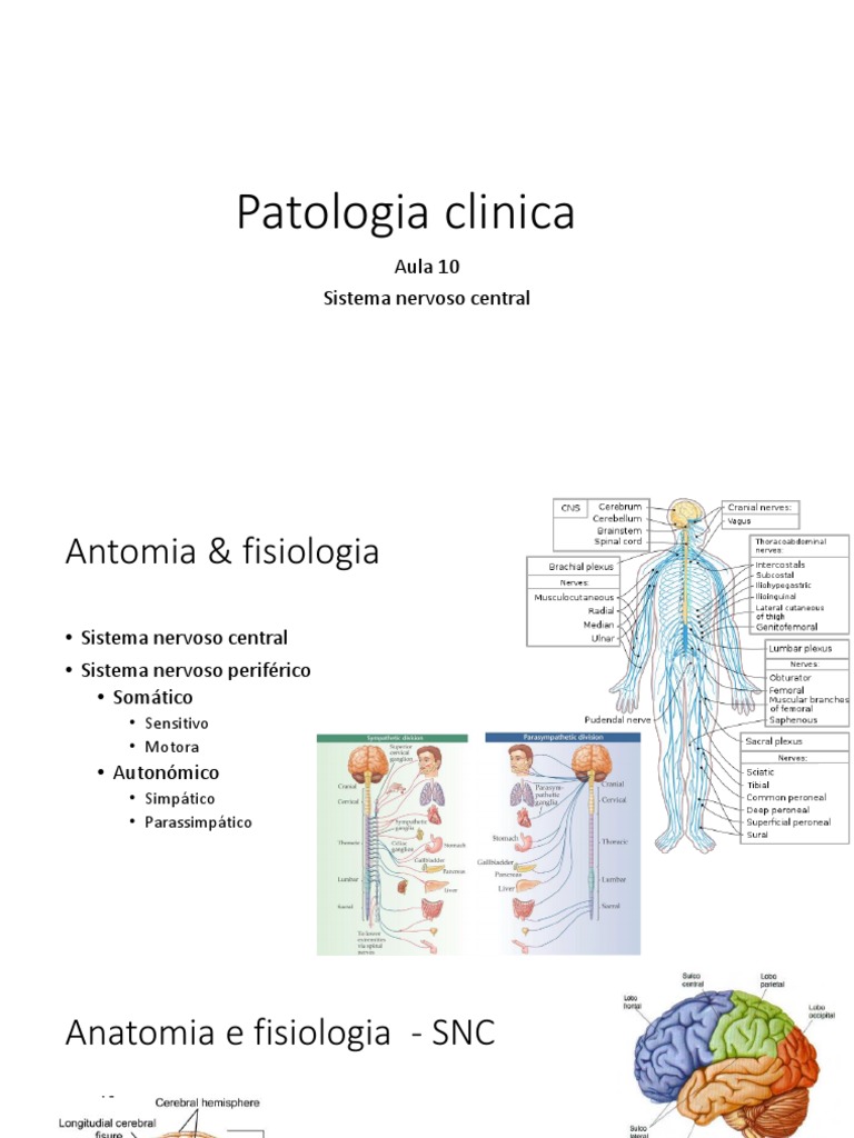 Patologia do Sistema Nervoso Central | PDF | Sistema nervoso ...
