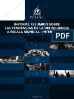 Resumen Interpol 2022