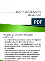 Trabajo y Elasticidad Muscular